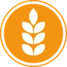 Gluten
